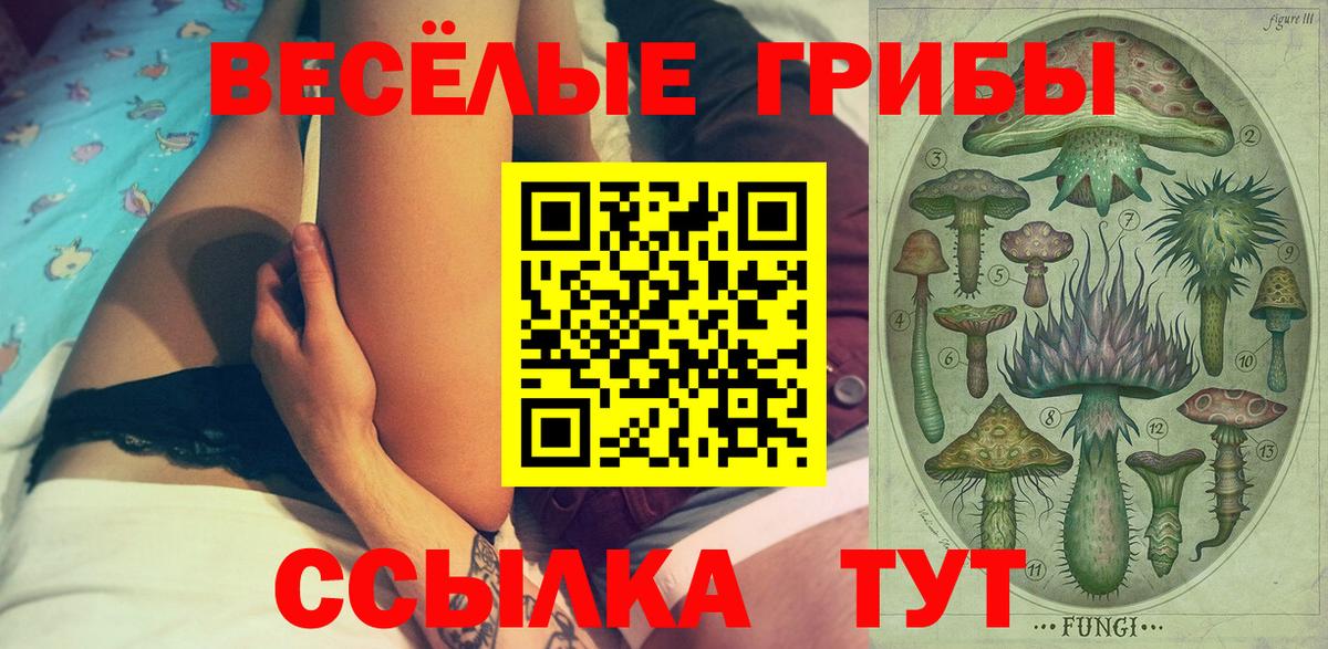 Псилоцибиновые грибы мицелий Асино